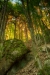 Thumbnail img_0421.jpg 