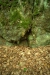 Thumbnail img_0423.jpg 