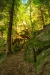 Thumbnail img_0424.jpg 