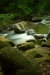 Thumbnail img_0426.jpg 