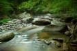 Thumbnail img_0427.jpg 