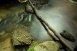 Thumbnail img_0429.jpg 