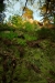 Thumbnail img_0431.jpg 