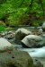 Thumbnail img_0437.jpg 