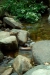 Thumbnail img_0441.jpg 