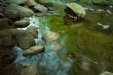 Thumbnail img_0443.jpg 