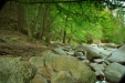 Thumbnail img_0444.jpg 