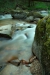 Thumbnail img_0445.jpg 