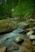 Thumbnail img_0448.jpg 