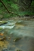 Thumbnail img_0451.jpg 