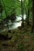 Thumbnail img_0454.jpg 