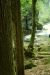 Thumbnail img_0457.jpg 