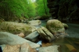 Thumbnail img_0460.jpg 