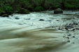 Thumbnail img_0461.jpg 