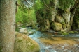 Thumbnail img_0463.jpg 