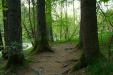 Thumbnail img_0465.jpg 