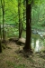Thumbnail img_0469.jpg 