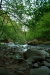 Thumbnail img_0470.jpg 