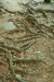 Thumbnail img_0472.jpg 