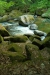 Thumbnail img_0476.jpg 