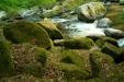 Thumbnail img_0477.jpg 