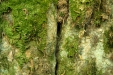 Thumbnail img_0479.jpg 