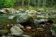 Thumbnail img_0482.jpg 