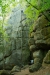 Thumbnail img_0486.jpg 
