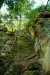Thumbnail img_0487.jpg 