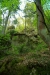 Thumbnail img_0491.jpg 