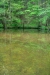 Thumbnail img_0494.jpg 