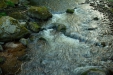 Thumbnail img_0496.jpg 
