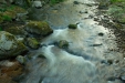 Thumbnail img_0497.jpg 