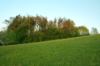 Thumbnail img_0499.jpg 