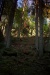 Thumbnail img_6673.jpg 