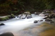 Thumbnail img_6675.jpg 