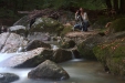 Thumbnail img_6676.jpg 