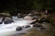 Thumbnail img_6678.jpg 
