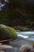 Thumbnail img_6682.jpg 