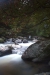 Thumbnail img_6685.jpg 