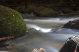 Thumbnail img_6693.jpg 