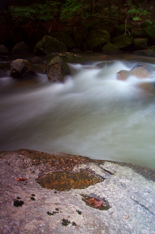 img_6656.jpg 