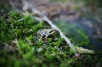 Thumbnail img_5120.jpg 