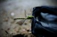 Thumbnail img_5130.jpg 