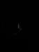 Thumbnail IMG_5494.JPG 
