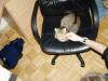 Thumbnail P1010120.JPG 