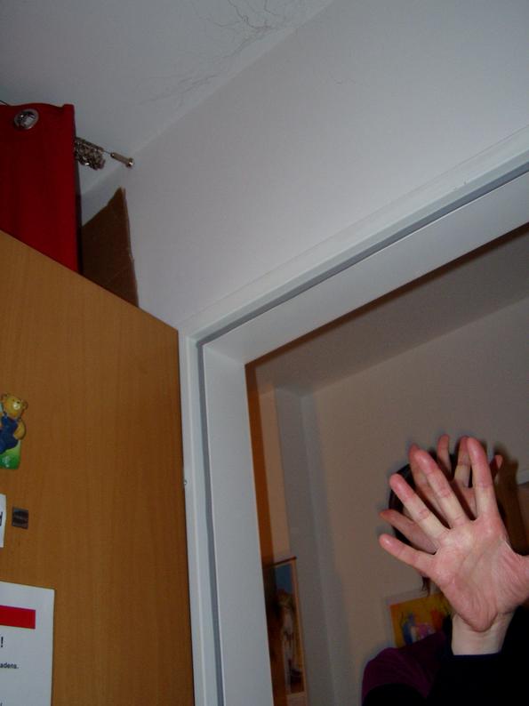P1010056.JPG 