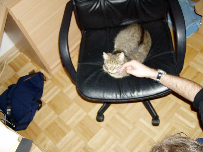 P1010120.JPG 