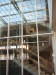 Thumbnail IMG_1131.JPG 