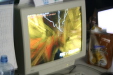 Thumbnail img_0890.jpg 